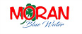 Dealer Logo