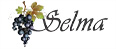 Dealer Logo